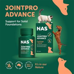 NAS JointPro Advance醫療級關節藥
