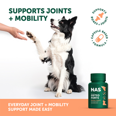 NAS OsteoForte特強關節止痛粉