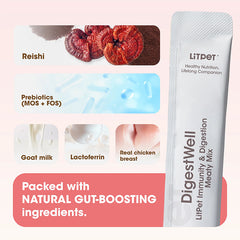 LiTPeT DigestWell腸道營養肉醬