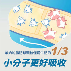 Blue Bay頂級羊奶粉