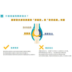 共立製藥貝節益(錠) MOEGITAB®