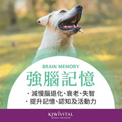 EnzoBoost松樹醇肉粒