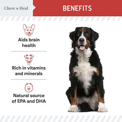 Chew+Heal抗氧化肉粒零食- 野生阿拉斯加三文魚