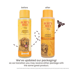 Burts Bees寵物系列 - 蜂蜜燕麥沐浴露(犬用)