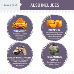 Chew+Heal老犬綜合維他命肉粒零食- 野生阿拉斯加三文魚