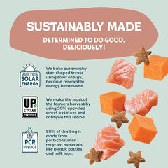 Shameless Pets貓薄荷零食- 三文魚(毛髮健康)