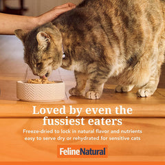 Feline Natural(F9)凍乾貓糧 - 鮮雞三文魚盛宴