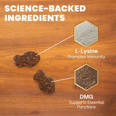 Vetri Science Lysine Plus賴氨酸小食 - 貓用