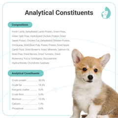 Pet Universe Vitality Collection 幼犬配方- 鮮羊肉