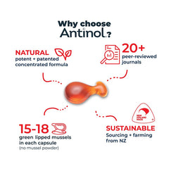 Antinol Plus天然青口精華關節膠囊(加強版)- 貓用
