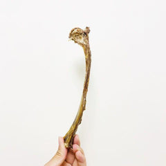 Alfa Pet - Venison Ribs鹿肋骨 - PetMo