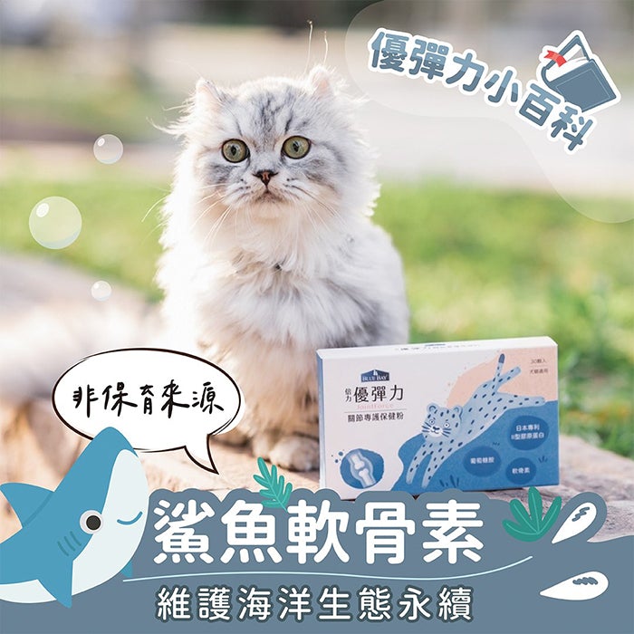 Blue Bay優彈力關節專護保健粉 - PetMo