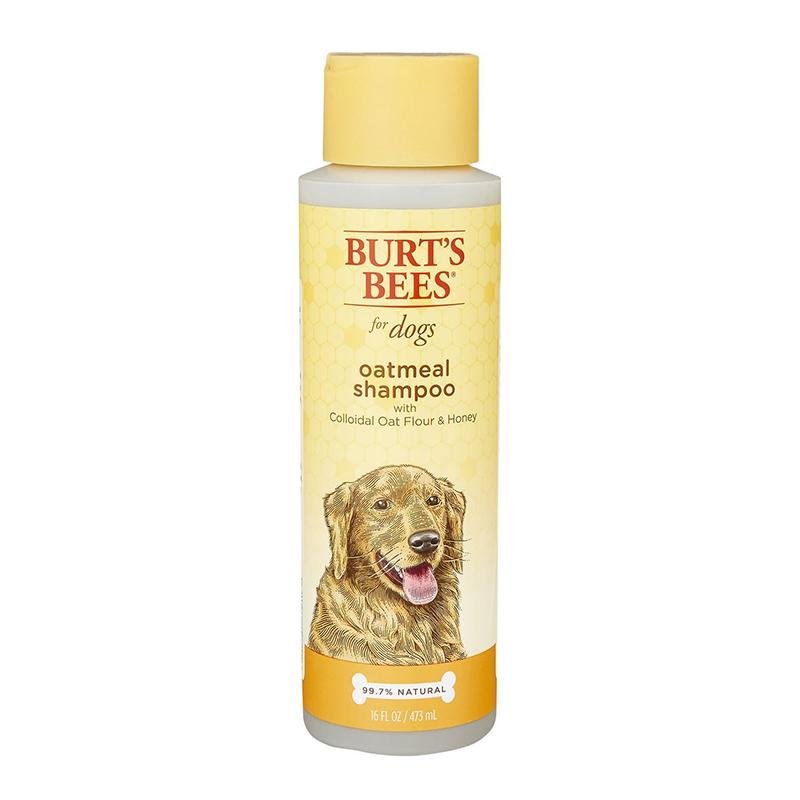 Burt’s Bees寵物系列 - 蜂蜜燕麥沐浴露(犬用) - PetMo