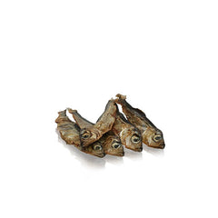 Essential 細型大西洋鯡魚乾 - PetMo