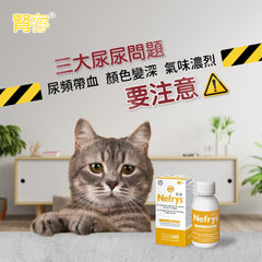 Innovet Nefrys 腎存 - 強腎配方 - PetMo