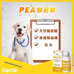 Innovet Nefrys 腎存 - 強腎配方 - PetMo