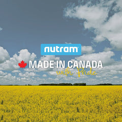 Nutram紐頓幼貓糧S1 - 雞肉三文魚 - PetMo