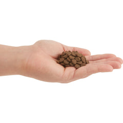 Orijen無穀物天然貓糧 - 紅肉 - PetMo