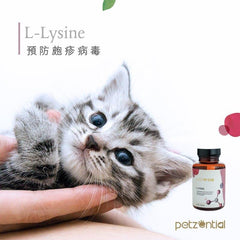 Petzential離氨酸🧡營養品 - 貓用 - PetMo