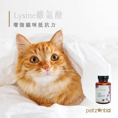 Petzential離氨酸🧡營養品 - 貓用 - PetMo