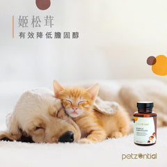 Petzential姬松茸🧡免疫強化 - PetMo