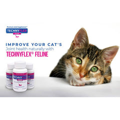 Technyflex Feline治療關節炎補充丸 - 貓用 - PetMo