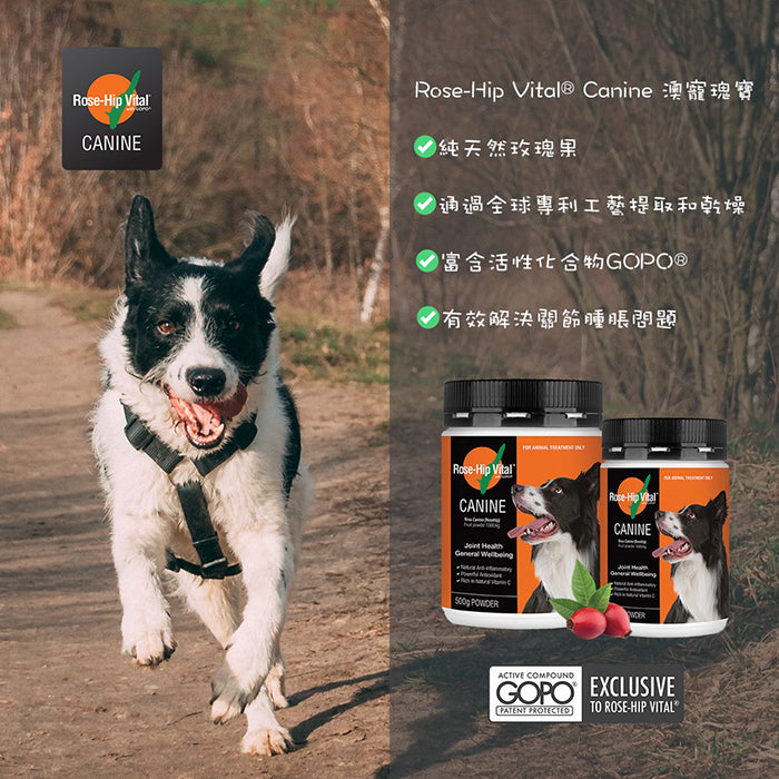 澳洲Rose-Hip Vital Canine犬用玫瑰果籽關節粉