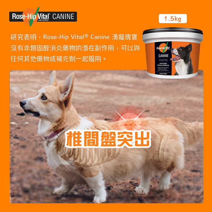 澳洲Rose-Hip Vital Canine犬用玫瑰果籽關節粉