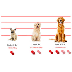 Antinol天然青口精華關節膠囊 - 犬用