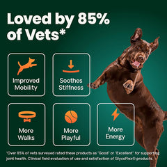 Vetri Science GlycoFlexIII關節補充咀嚼肉粒 - 犬用