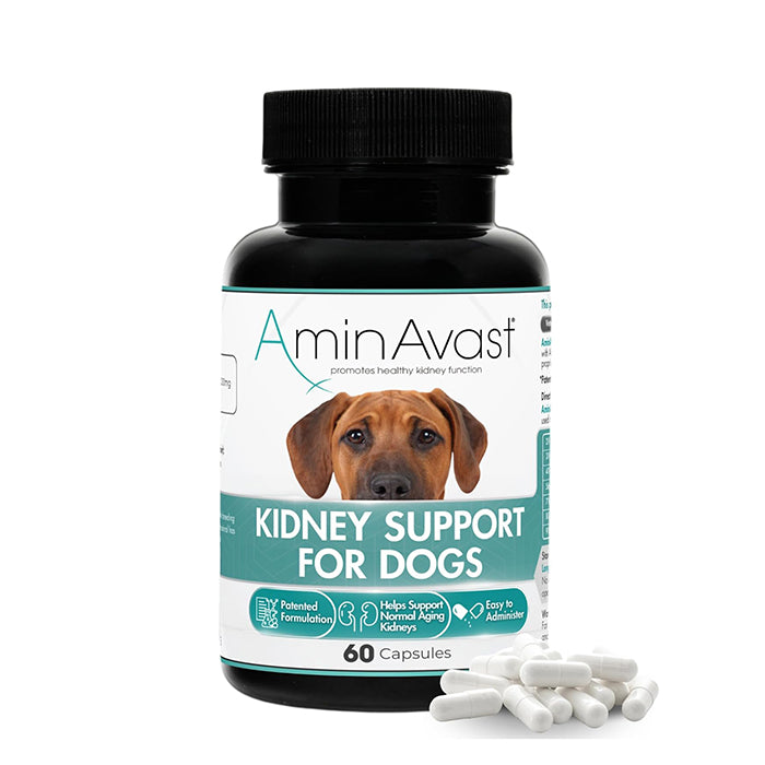 美國🇺🇸AminAvast™腎臟營養保健品 - 犬用