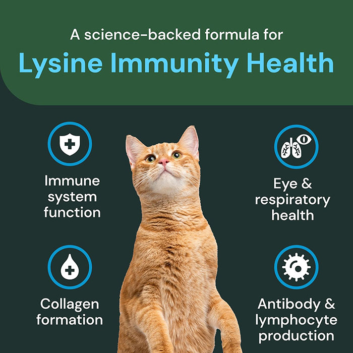 Vetri Science Lysine PRO賴氨酸小食(強化版) - 貓用