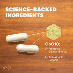 Vetri Science Coenzyme Q10輔酶
