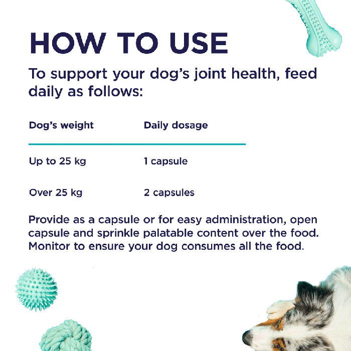 PAW Osteosupport關節補充丸 - 犬用