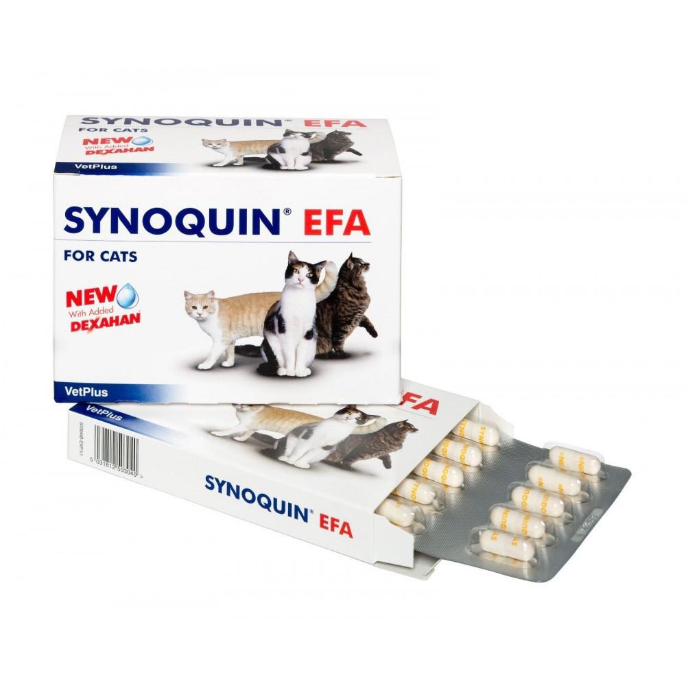 VetPlus Synoquin EFA 關節補充丸 - 貓用