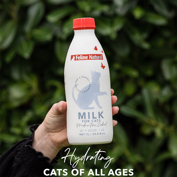 Feline Natural 零乳糖寵物營養奶 (貓用)