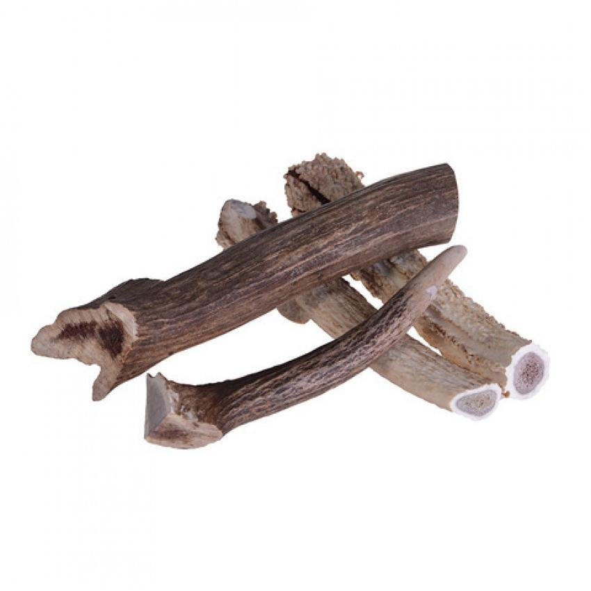 Alfa Pet Deer Antler 鹿角 - PetMo