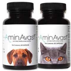 美國🇺🇸AminAvast™腎臟營養保健品 - 犬用 - PetMo