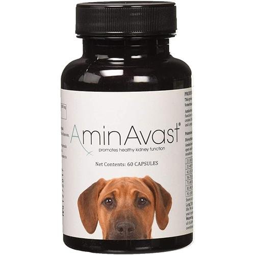 美國🇺🇸AminAvast™腎臟營養保健品 - 犬用 - PetMo