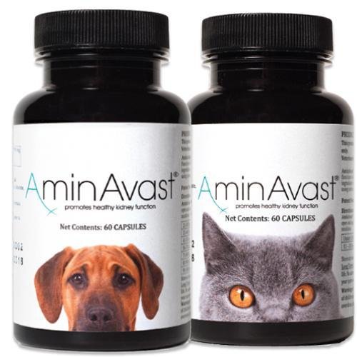 美國🇺🇸AminAvast™腎臟營養保健品 - 貓用 - PetMo