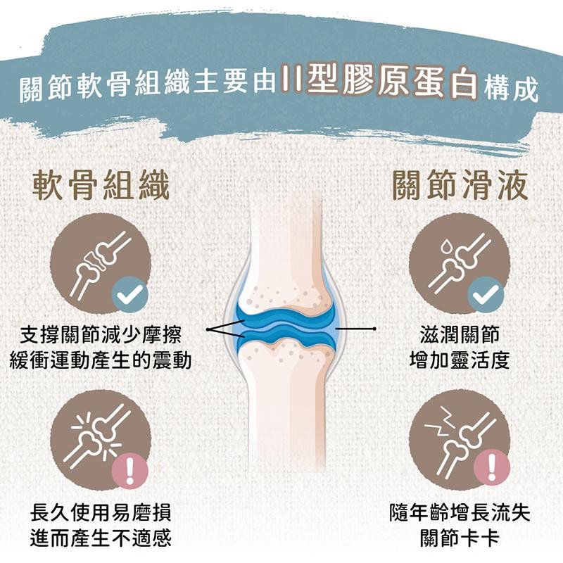 Blue Bay優彈力關節專護保健粉 - PetMo