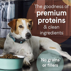 Canidae Pure無穀狗糧 - 老年犬 - PetMo