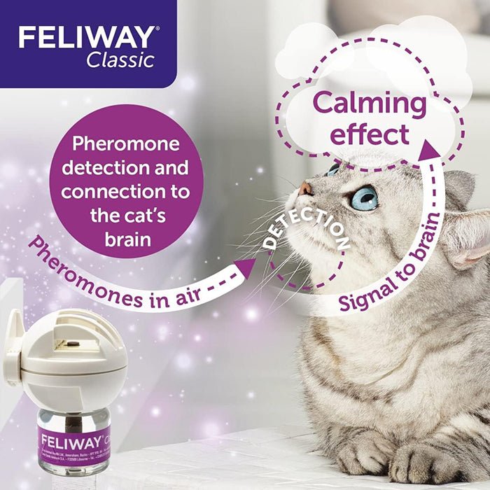 Feliway費洛蒙情緒安定香薰 - 貓用 - PetMo