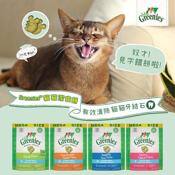 Greenies™貓貓潔齒餅 - 貓草味 - PetMo