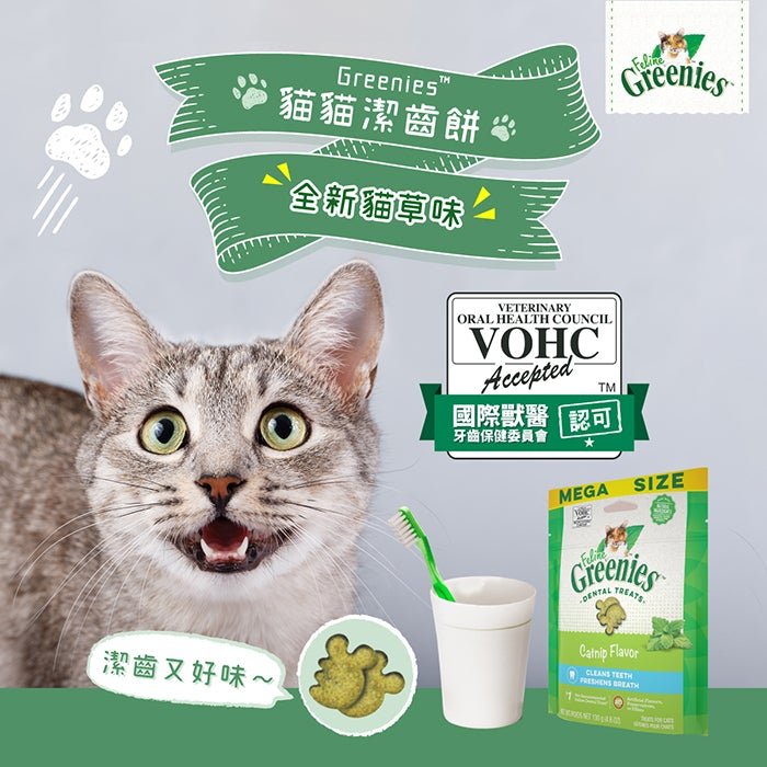 Greenies™貓貓潔齒餅 - 貓草味 - PetMo