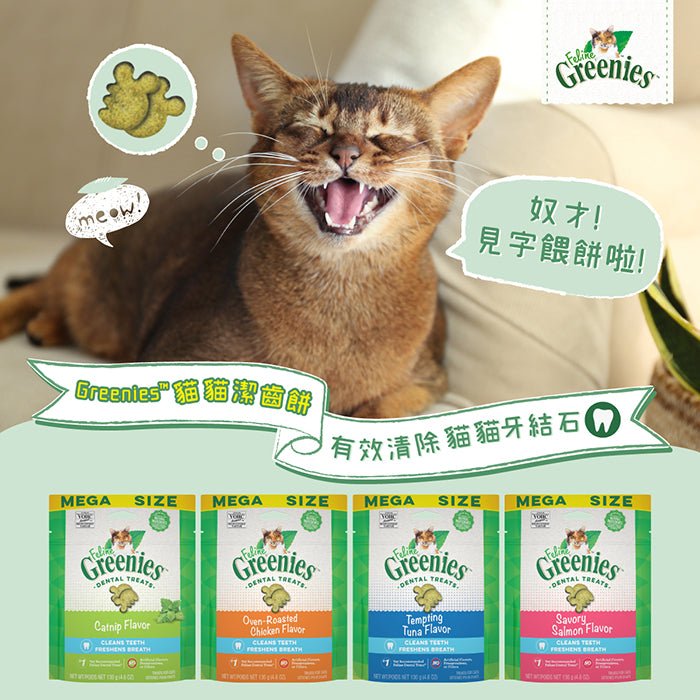 Greenies™貓貓潔齒餅 - JUICY蝦 - PetMo