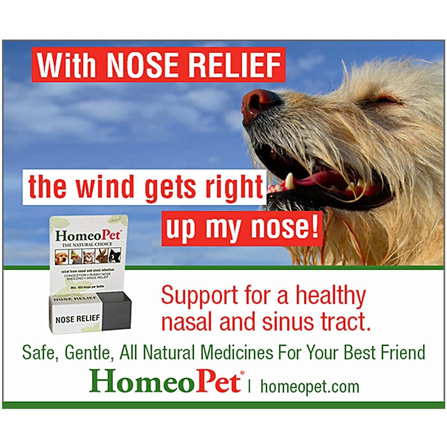 HomeoPet呼吸道保健液 - PetMo
