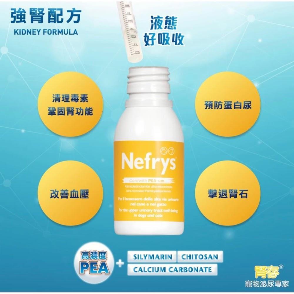 Innovet Nefrys 腎存 - 強腎配方 - PetMo