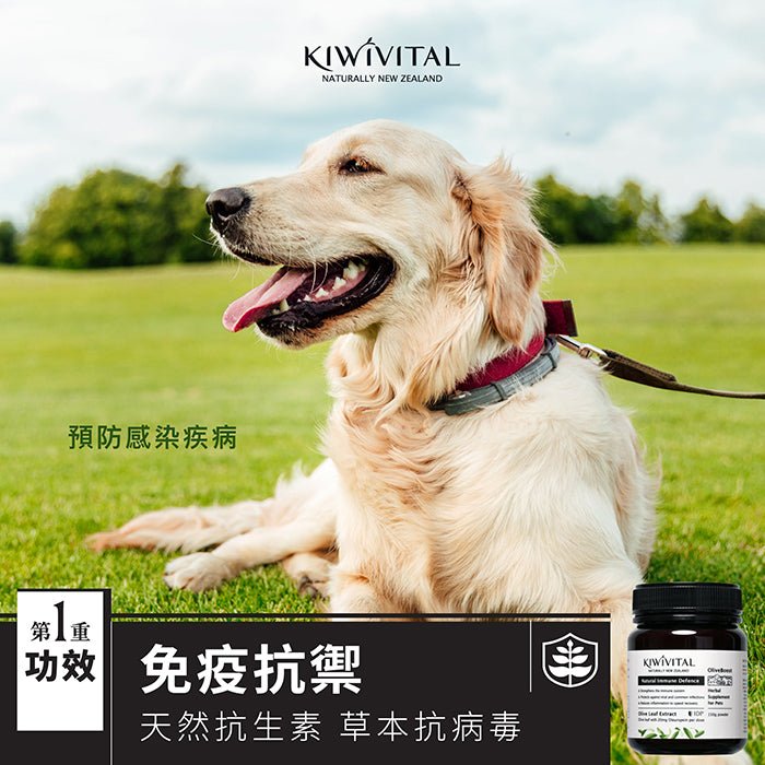Kiwivital橄欖葉草療粉 - PetMo
