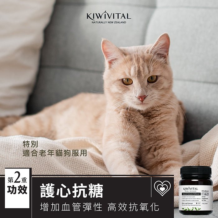 Kiwivital橄欖葉草療粉 - PetMo